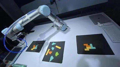 專家支招，黑科技亮相 這場展會連接武漢未來生活場景